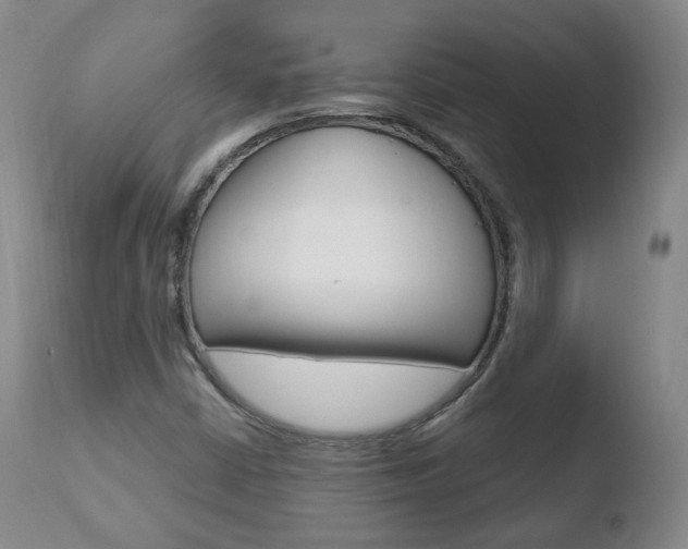 X0000110761402200906150919