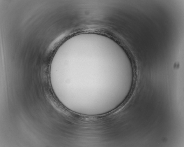 X0000110761403200906150919