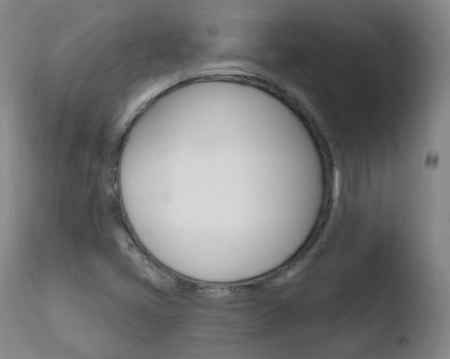 X0000110761405200906150919