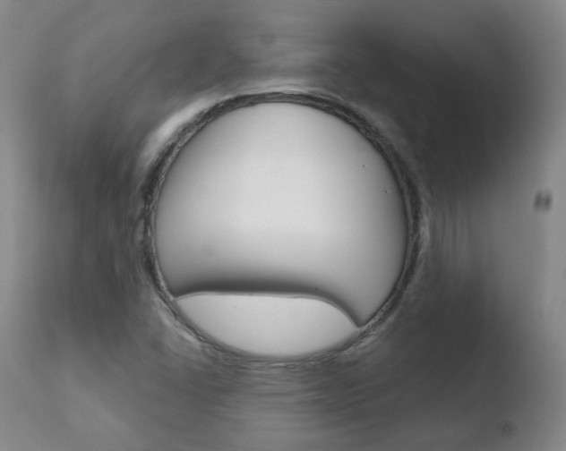 X0000110761406200906150919