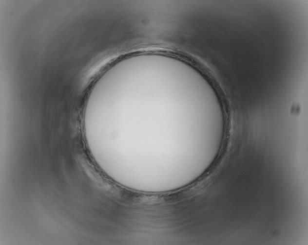 X0000110761407200906150919