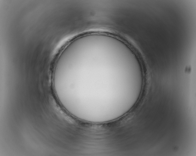 X0000110761408200906150919