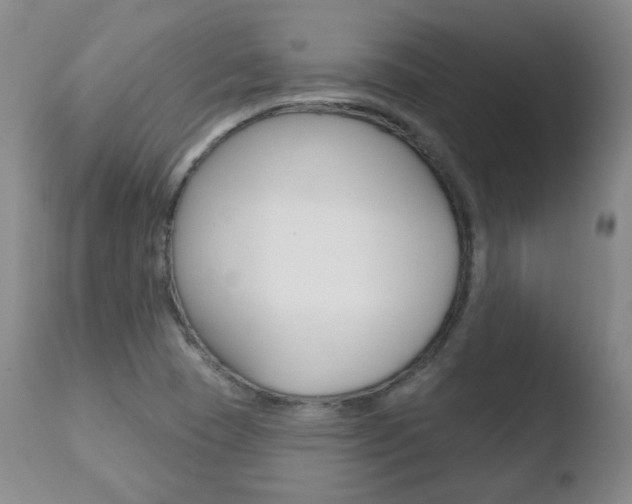 X0000110761409200906150919