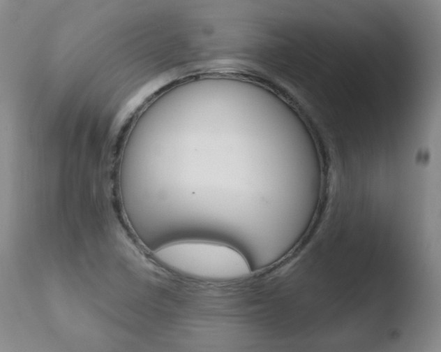 X0000110761410200906150919