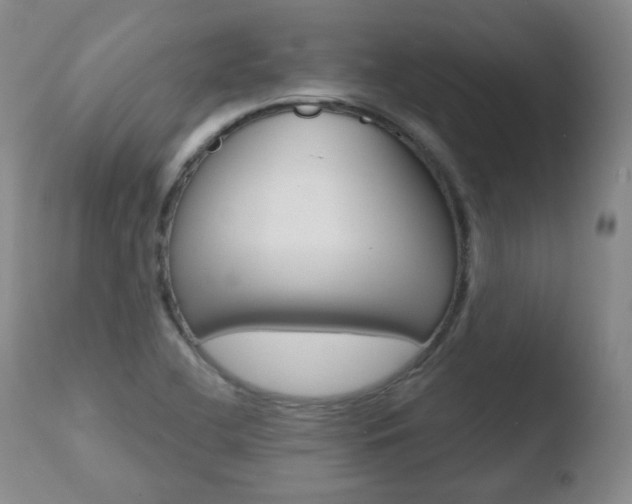 X0000110761412200906150919