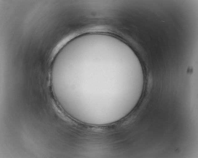 X0000110761413200906150919