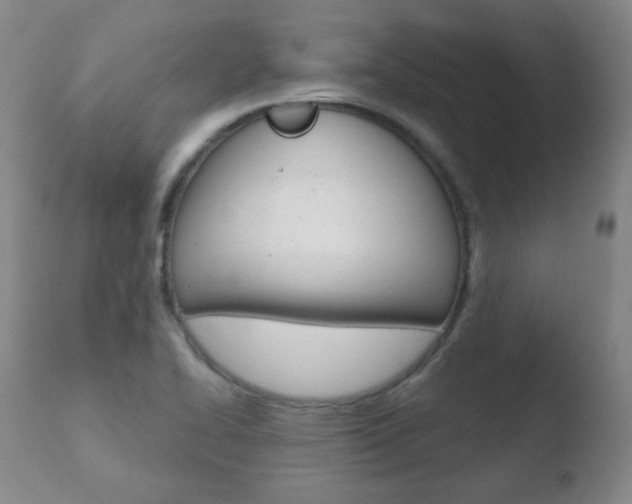 X0000110761414200906150919