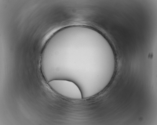 X0000110761415200906150919