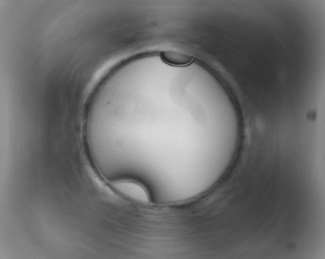 X0000110761416200906150919