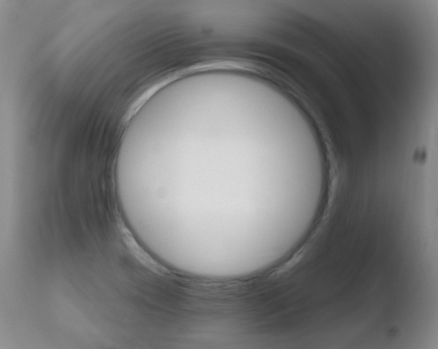 X0000110761417200906150919