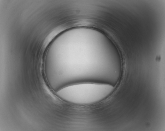 X0000110761418200906150919