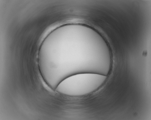 X0000110761421200906150919
