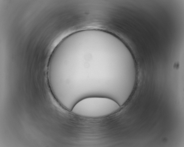 X0000110761423200906150919