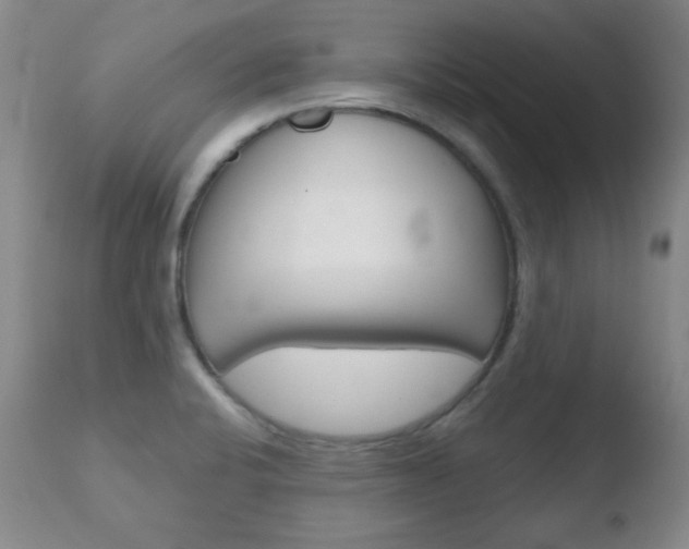 X0000110761424200906150919