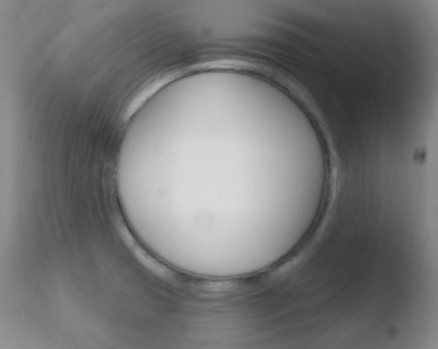 X0000110761425200906150919