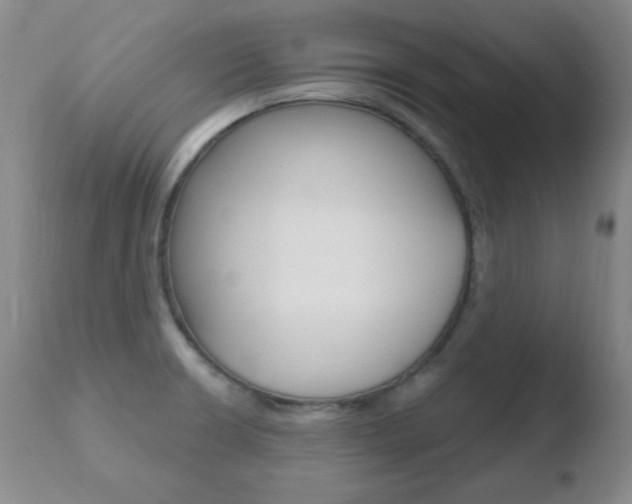 X0000110761426200906150919