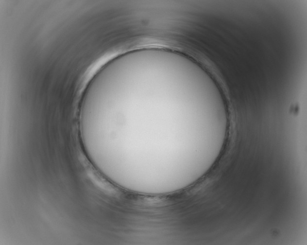 X0000110761427200906150919