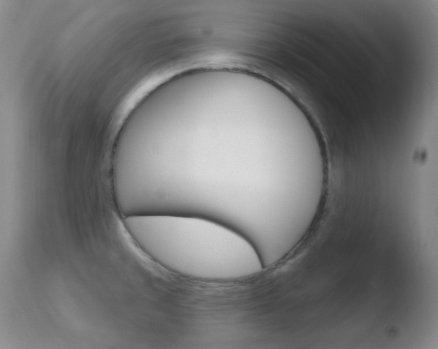 X0000110761429200906150919