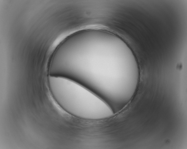 X0000110761430200906150919