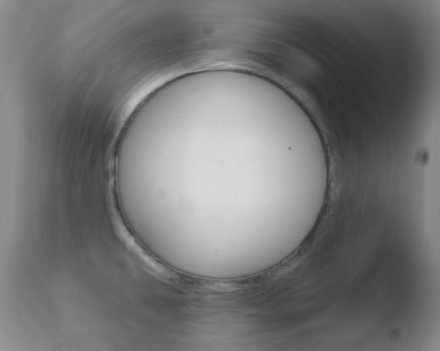 X0000110761431200906150919