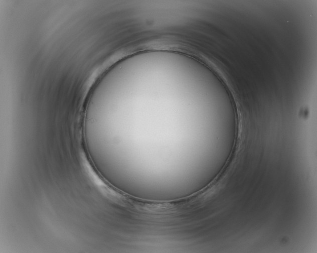 X0000110761434200906150919