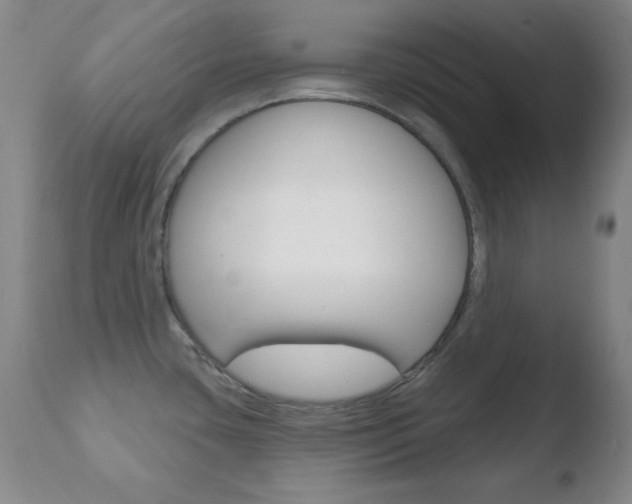 X0000110761435200906150919