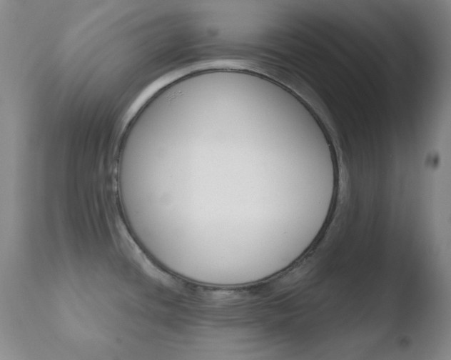 X0000110761436200906150919