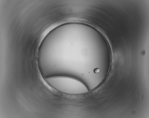X0000110761437200906150919
