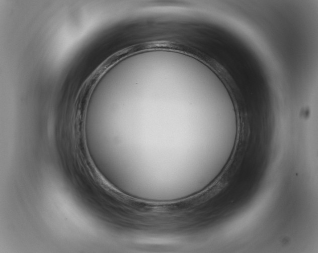 X0000110761438200906150919