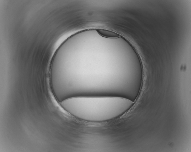 X0000110761440200906150919