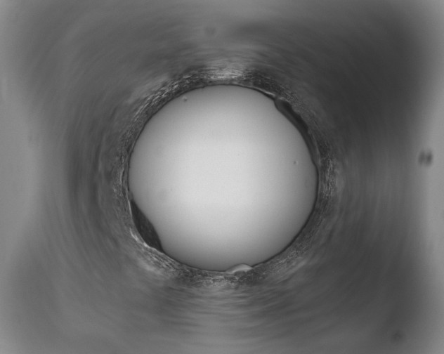 X0000110761441200906150918