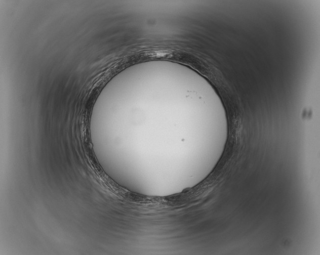 X0000110761442200906150918