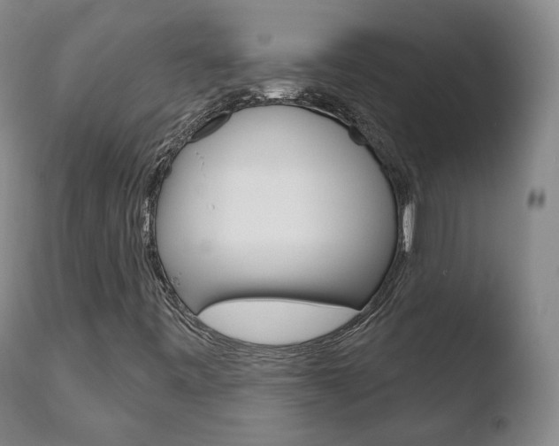 X0000110761443200906150918