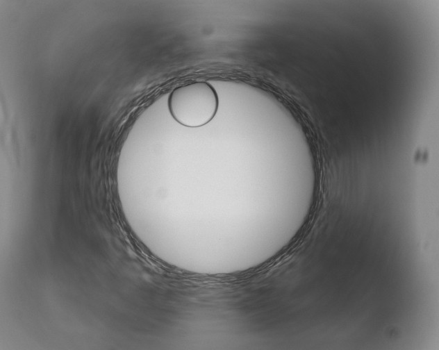 X0000110761445200906150918