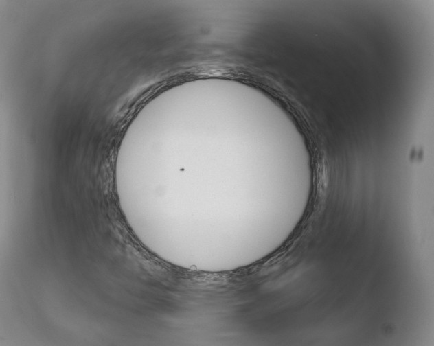 X0000110761446200906150918