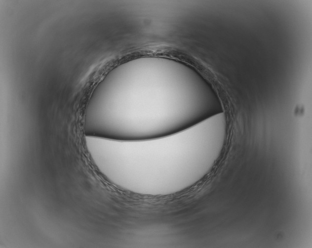 X0000110761447200906150918