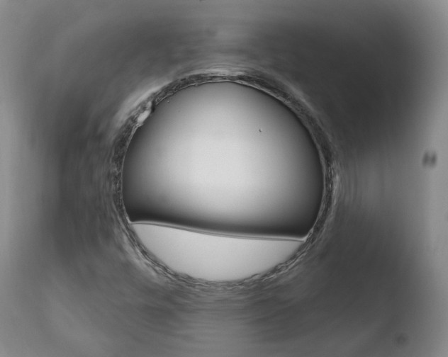 X0000110761448200906150918