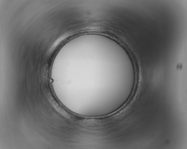 X0000110761450200906150918