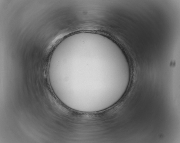 X0000110761451200906150918
