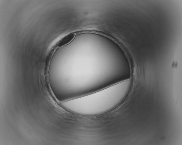 X0000110761452200906150918