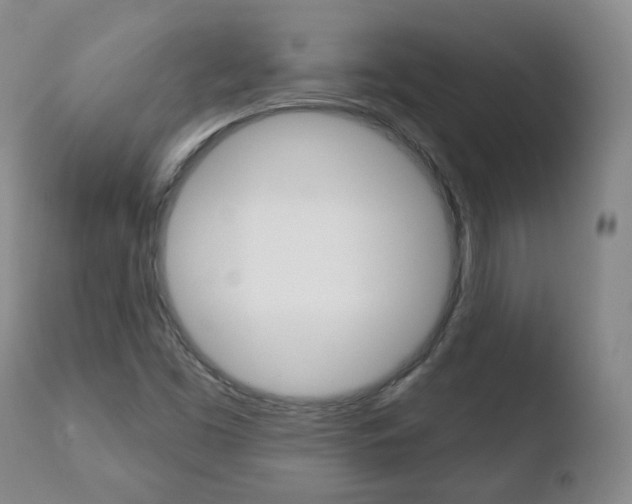 X0000110761453200906150918