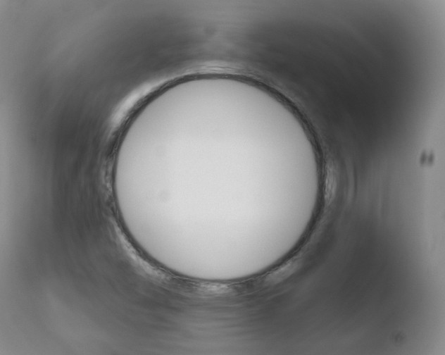 X0000110761454200906150918