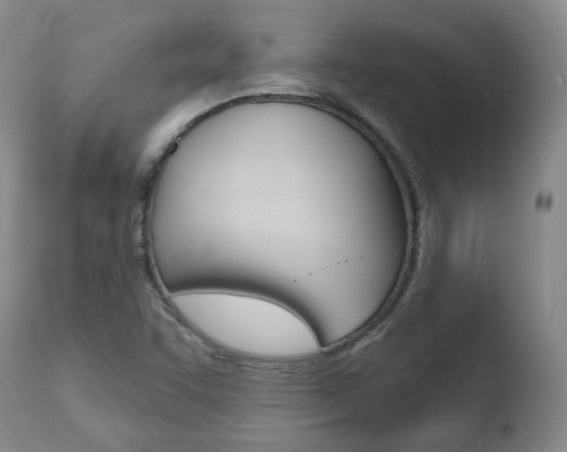 X0000110761455200906150918
