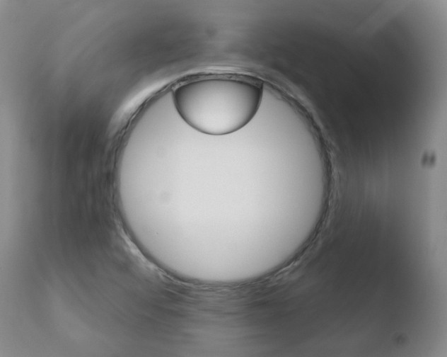 X0000110761456200906150918