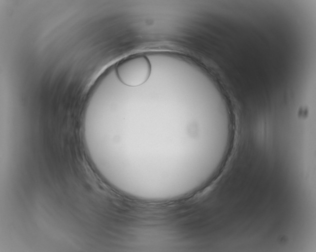 X0000110761457200906150918