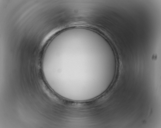X0000110761458200906150918