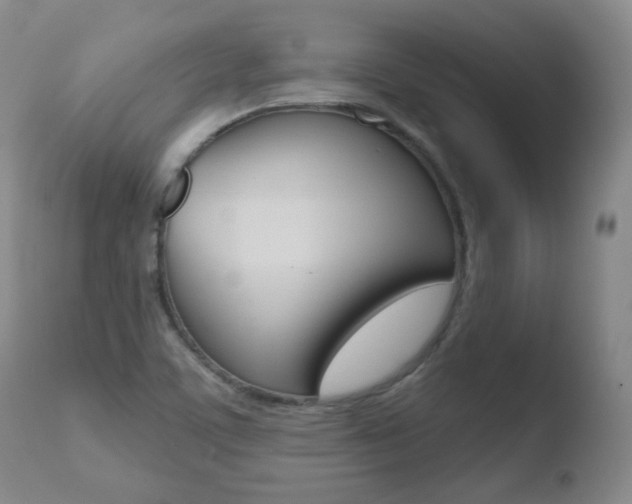 X0000110761459200906150918