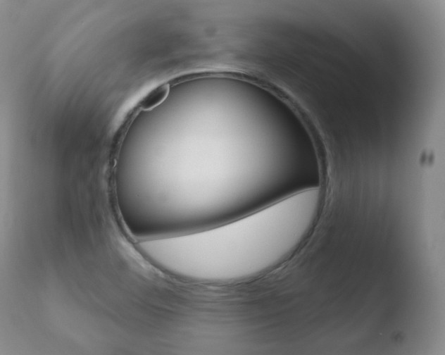 X0000110761460200906150918