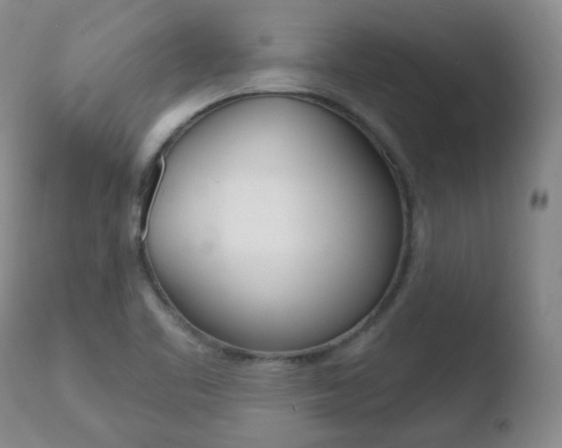 X0000110761461200906150918
