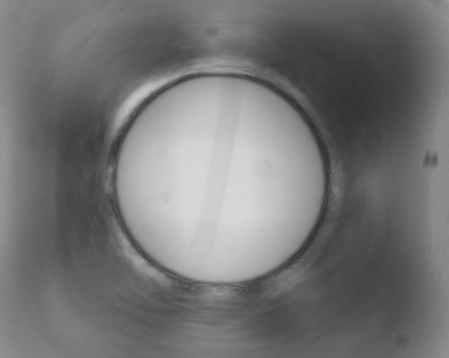 X0000110761462200906150918